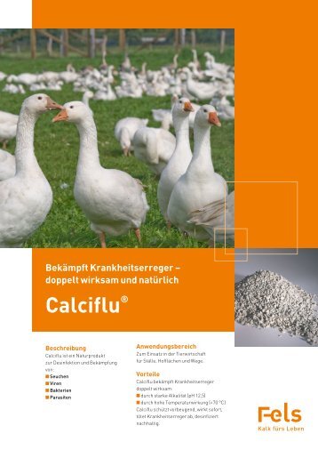 Calciflu® - Fels