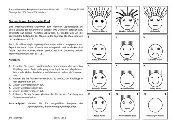 Stammbäume - Evolution im Kopf - Lehrerfortbildungsserver Baden ...