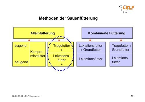 Zur bedarfsgerechten Schweinefütterung - LELF