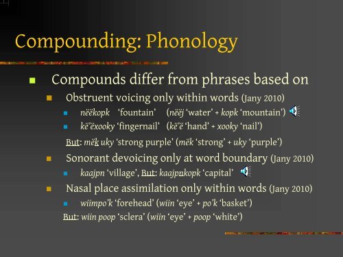 Nominal Compounding as a Productive Word-formation Process in ...