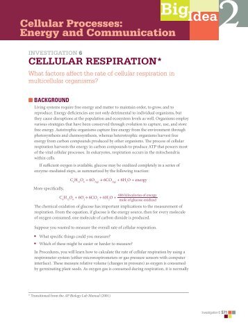 6. Cellular Respiration- Student Version.pdf