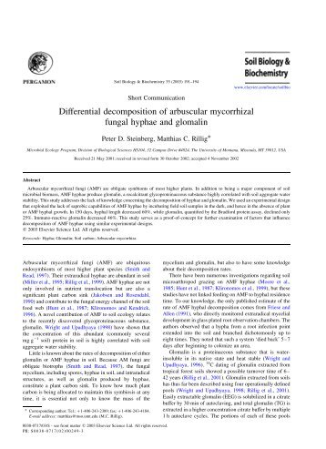 Differential decomposition of arbuscular mycorrhizal fungal hyphae ...