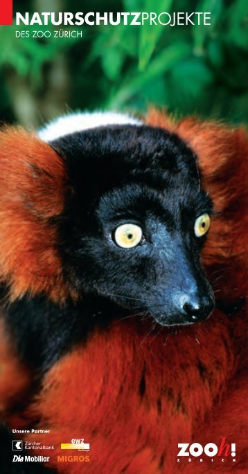 Naturschutzflyer [PDF, 14 MB] - Zoo Zürich