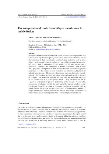 The computational route from bilayer membranes to vesicle fusion