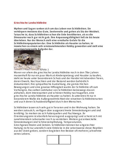 Radio Landschildkrote