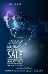 Here - Mid-Atlantic Morgan Horse Sale