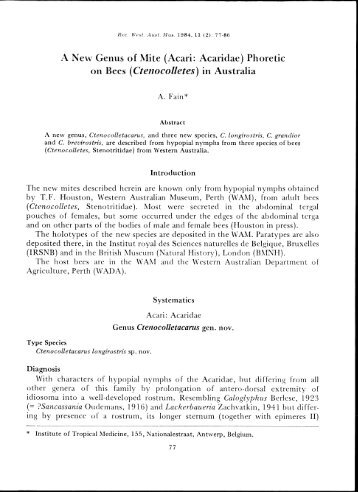 a new genus of mite (acari acaridae) phoretic on bees (ctenocolletes)