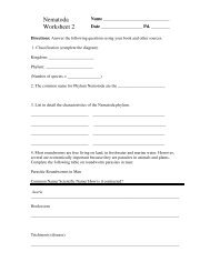 Nematoda Worksheet 2