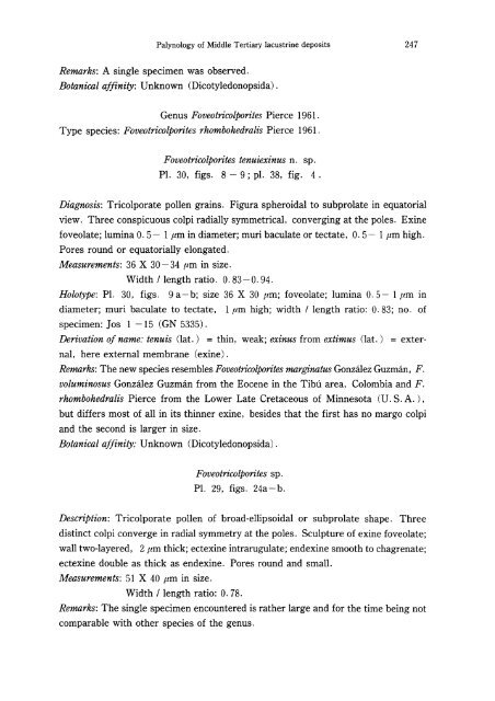 Palynology of Middle Tertiary lacustrine deposits