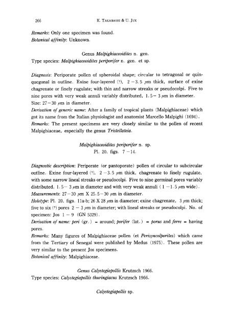 Palynology of Middle Tertiary lacustrine deposits