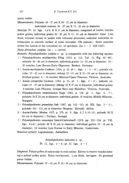 Palynology of Middle Tertiary lacustrine deposits