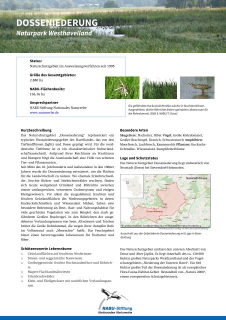 DOSSENIEDERUNG - NABU-Stiftung Nationales Naturerbe