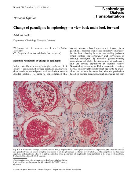 Change of paradigms in nephrology--a view back and a look forward.