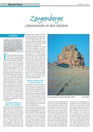 2013-24_Zeugenberge - Lebensinseln in den Wuesten.pdf