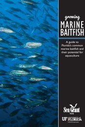 Growing Marine Baitfish - the National Sea Grant Library