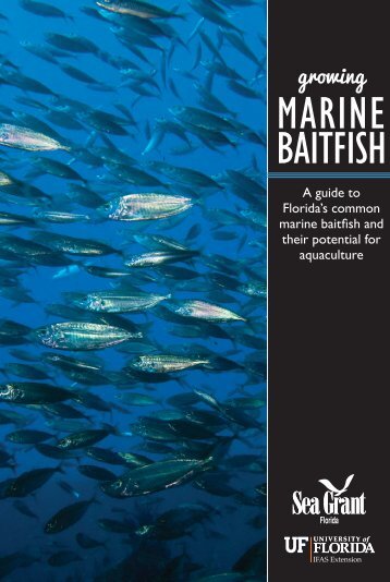 Growing Marine Baitfish - the National Sea Grant Library