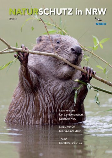 Grün zu Grau - NABU NRW