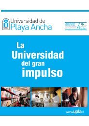 Universidad de Playa Ancha: La universidad del gran impulso