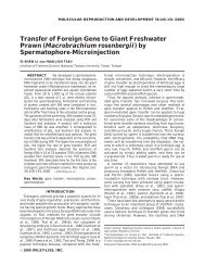 Transfer of foreign gene to giant freshwater prawn (Macrobrachium ...