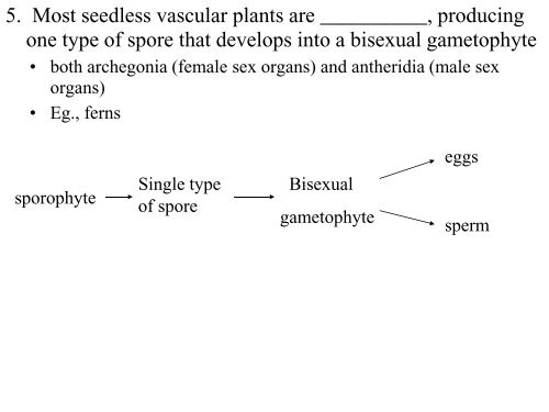 Chapter 29 Plant Diversity I How Plants Colonized Land