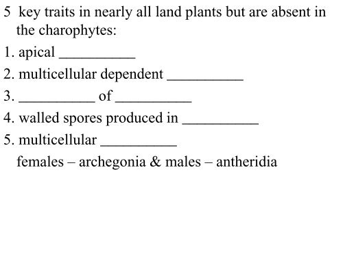 Chapter 29 Plant Diversity I How Plants Colonized Land