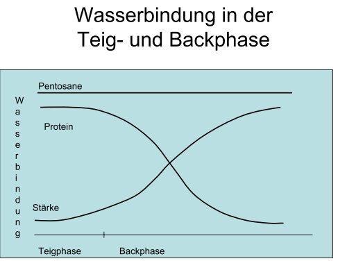 Getreidetechnologie II