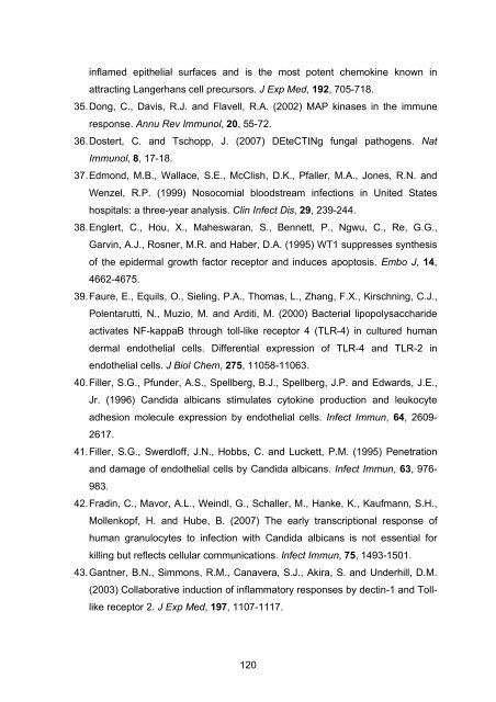 Candida albicans-induzierte Genexpression in primären ... - OPUS