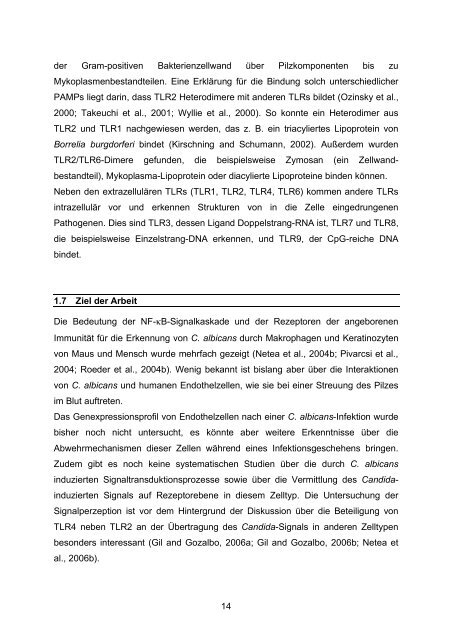 Candida albicans-induzierte Genexpression in primären ... - OPUS