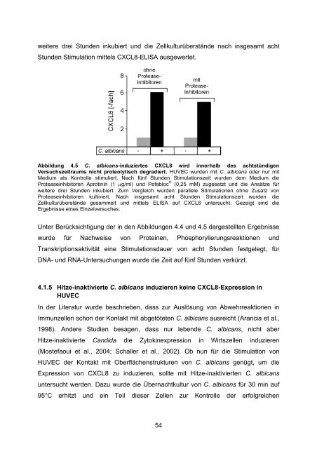 Candida albicans-induzierte Genexpression in primären ... - OPUS