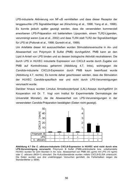 Candida albicans-induzierte Genexpression in primären ... - OPUS