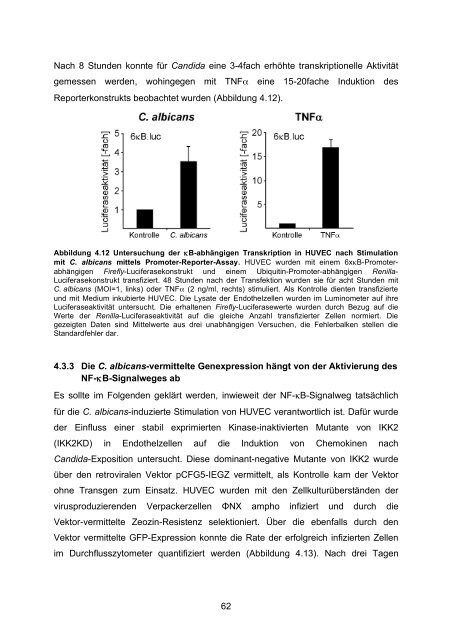 Candida albicans-induzierte Genexpression in primären ... - OPUS