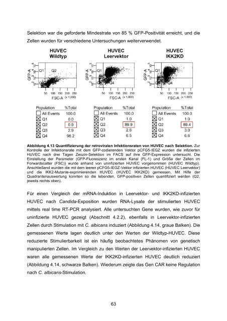 Candida albicans-induzierte Genexpression in primären ... - OPUS