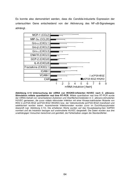 Candida albicans-induzierte Genexpression in primären ... - OPUS