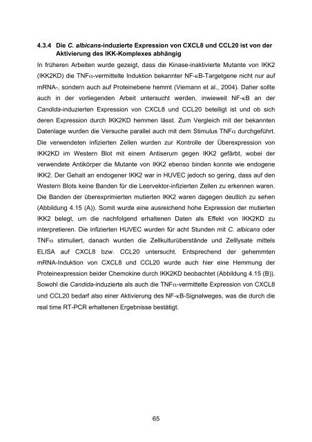 Candida albicans-induzierte Genexpression in primären ... - OPUS