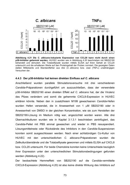 Candida albicans-induzierte Genexpression in primären ... - OPUS