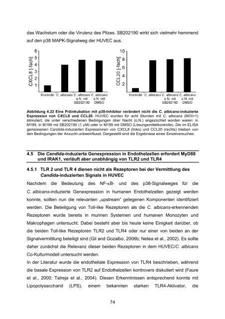 Candida albicans-induzierte Genexpression in primären ... - OPUS