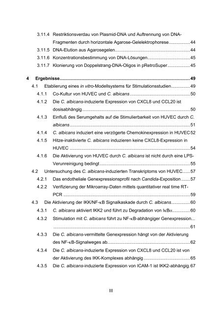 Candida albicans-induzierte Genexpression in primären ... - OPUS