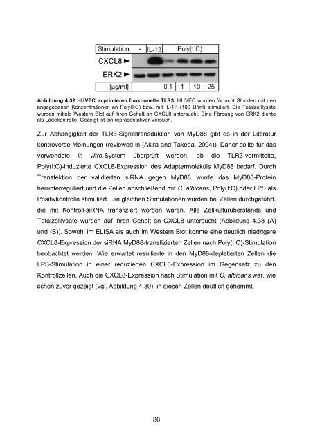 Candida albicans-induzierte Genexpression in primären ... - OPUS