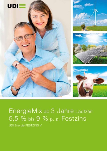EnergieMix ab 3 Jahre Laufzeit 5,5 % bis 9 % p. a. Festzins - UDI
