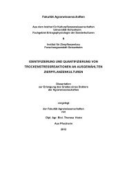 Dokument 1.pdf - Universität Hohenheim