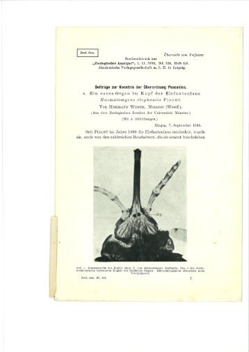 „Zoologischer Anzeiger“, 1. 11. 1938, Bd. 124, Heft 5/6 ... - Phthiraptera