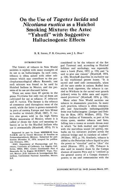 On the Use of Tagetes lucida and Nicotiana rustica as a Huichol ...