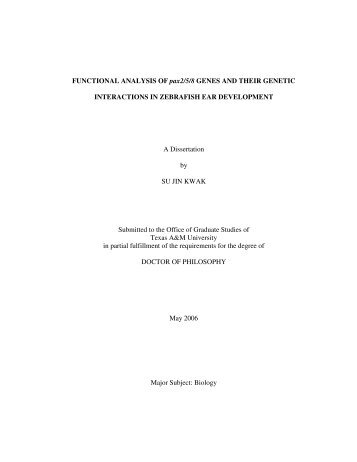 FUNCTIONAL ANALYSIS OF pax2/5/8 GENES AND THEIR ...