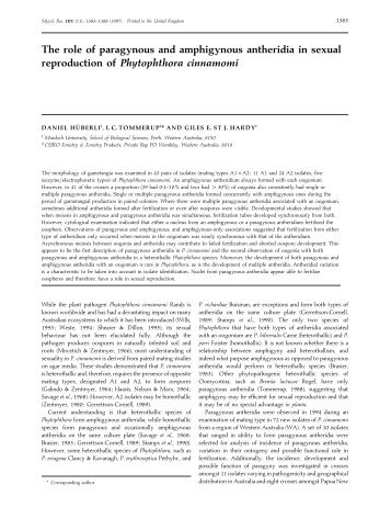 The role of paragynous and amphigynous antheridia in sexual ...