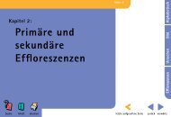 Primäre und sekundäre Effloreszenzen