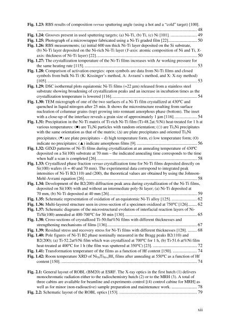 PhD Thesis_RuiMSMartins.pdf - RUN UNL