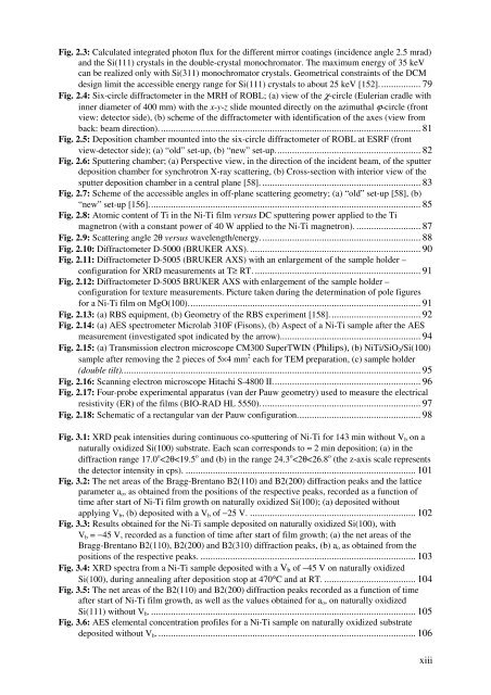 PhD Thesis_RuiMSMartins.pdf - RUN UNL