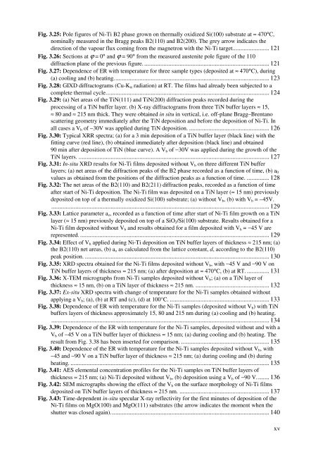 PhD Thesis_RuiMSMartins.pdf - RUN UNL