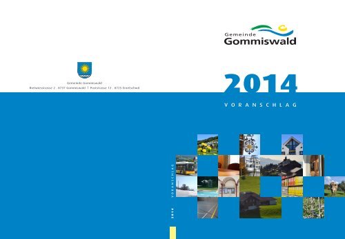 Voranschlag 2014 [PDF, 6.00 MB] - Gemeinde Gommiswald