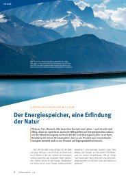 Der Energiespeicher, eine Erfindung der Natur